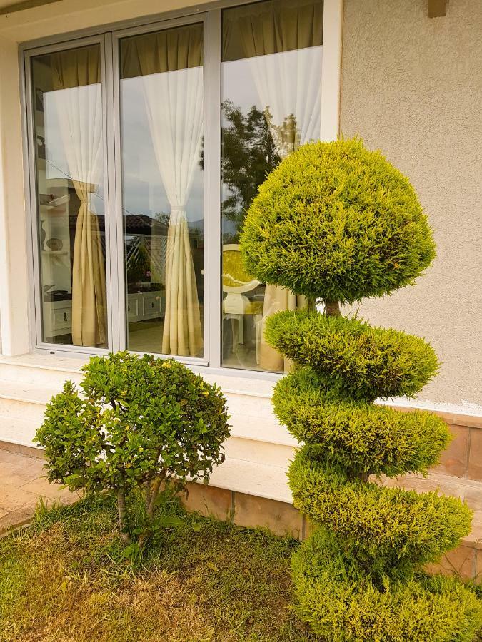 Vila Elida Tragjas Ngoại thất bức ảnh