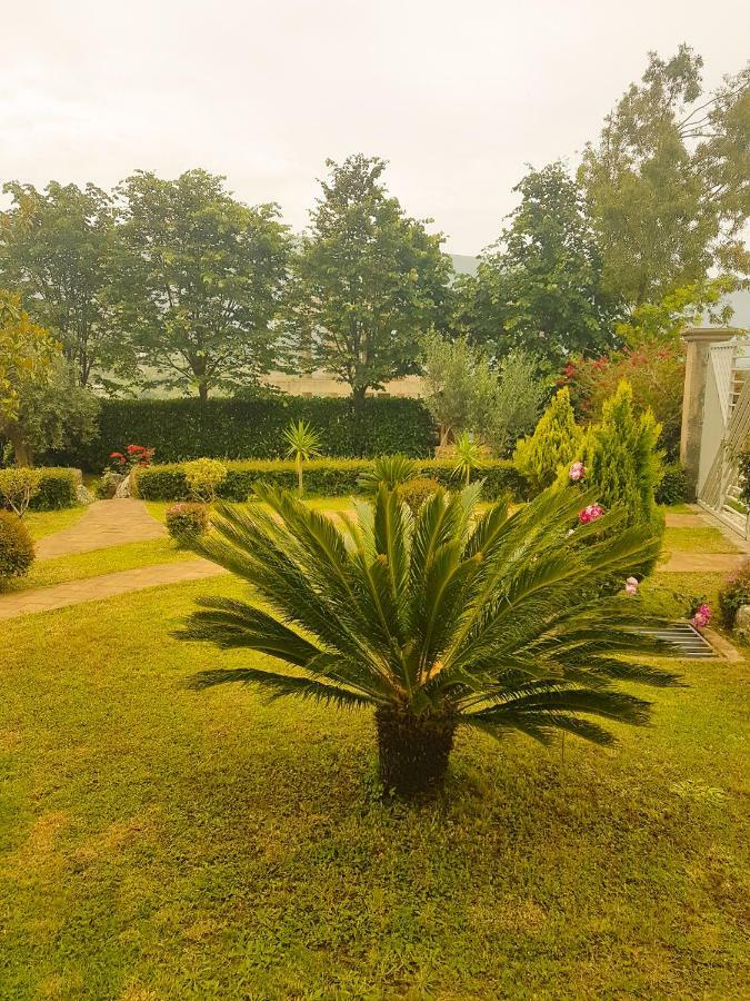 Vila Elida Tragjas Ngoại thất bức ảnh